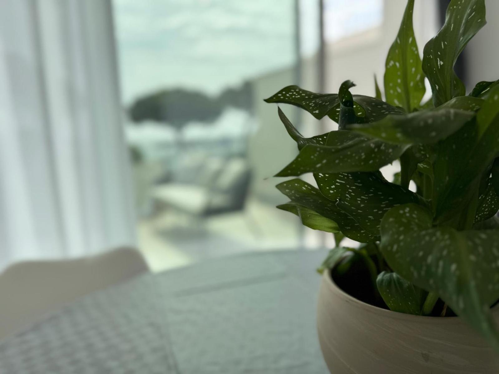 Iitana Luxury Apartment - Fronte Mare Con Vasca Idromassaggio Catánia Buitenkant foto
